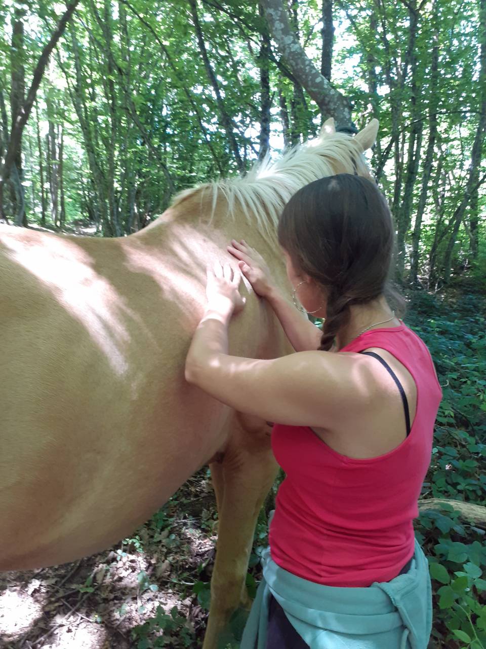 Le cheval thérapeute