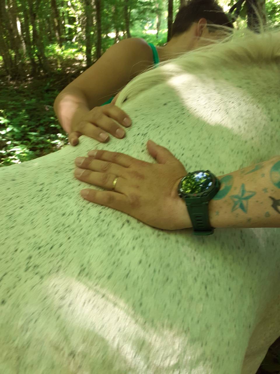 Le cheval thérapeute