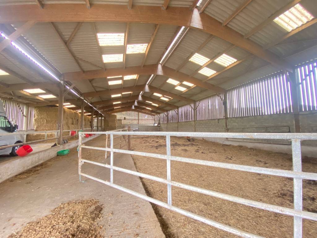 Écurie d'élevage en bordure de mer sur 21ha