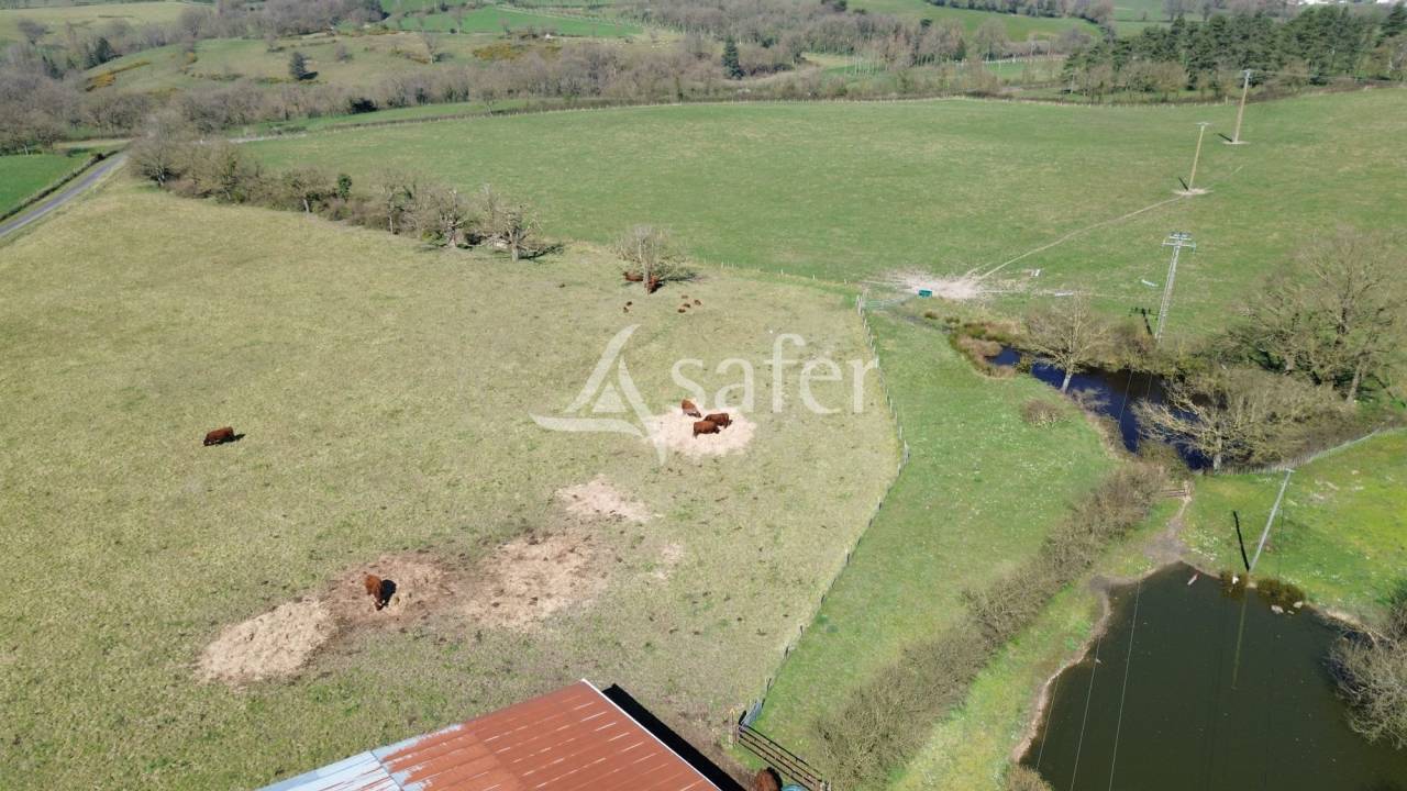 Belle Ferme à reprendre sur 80ha (dont 3ha en fermage)