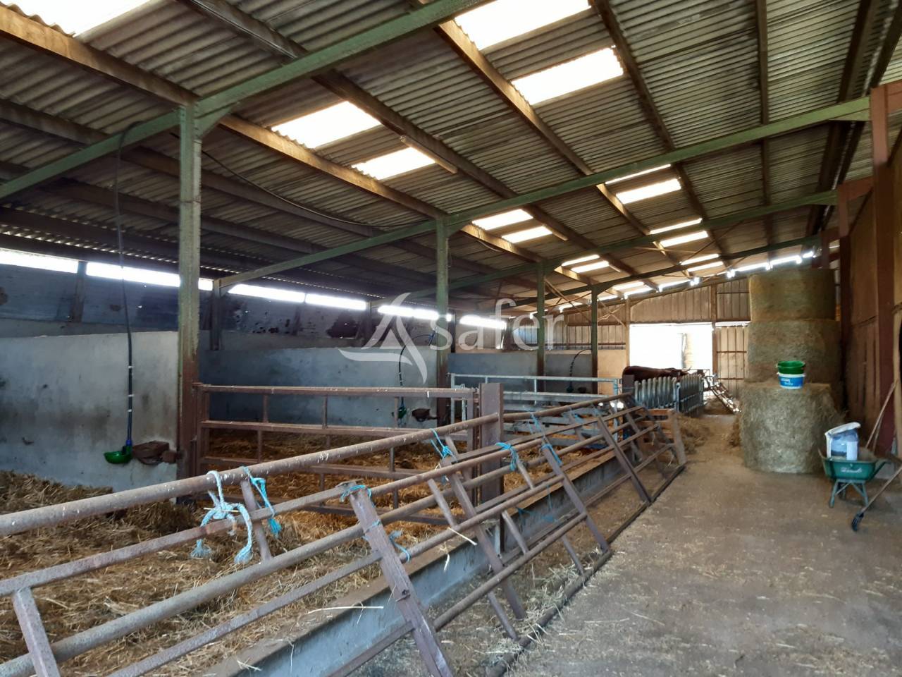 Belle Ferme à reprendre sur 80ha (dont 3ha en fermage)