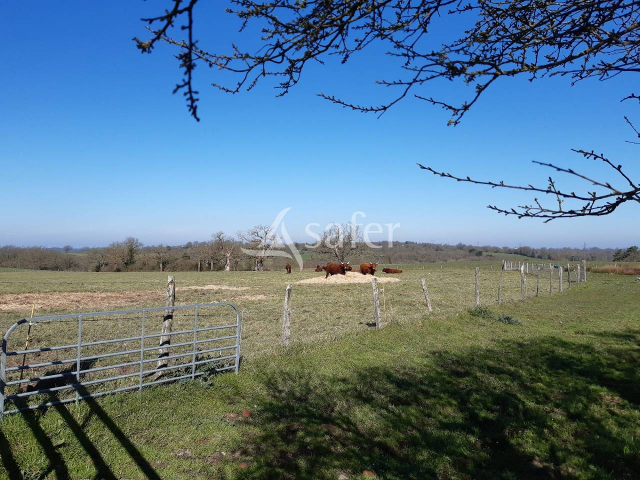 Belle Ferme à reprendre sur 80ha (dont 3ha en fermage)