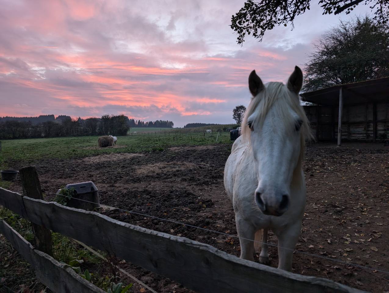 Stages d'équitation, théâtre et cinéma pour les enfants