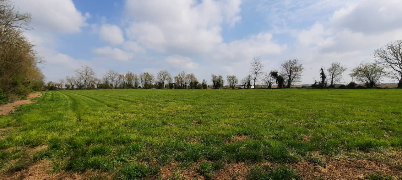 Propriété idéale chevaux- 2,2 ha – 10 mn FONTENAY LE C.