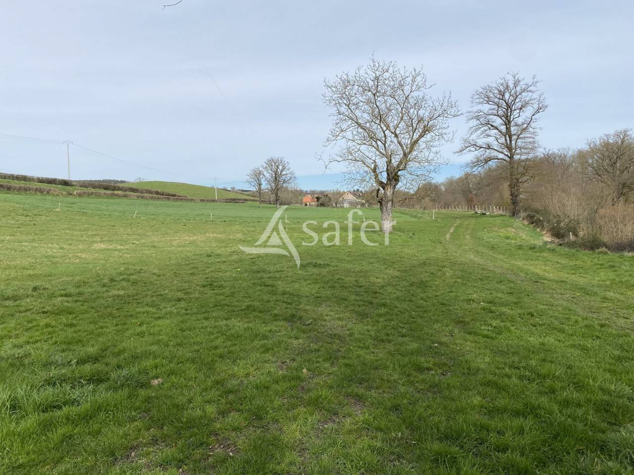 Propriété agricole, élevage (bovins, ovins, équin) - Secteur