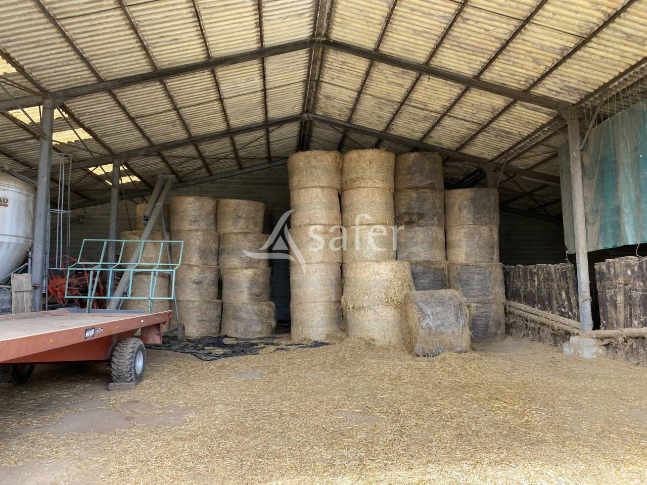 Propriété agricole, élevage (bovins, ovins, équin) - Secteur