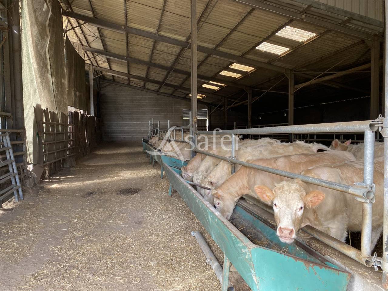 Propriété agricole, élevage (bovins, ovins, équin) - Secteur