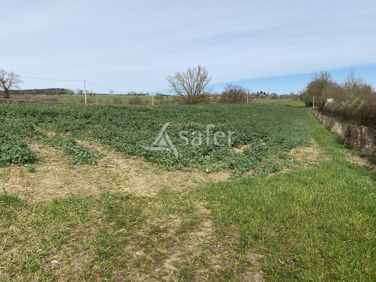 Propriété agricole, élevage (bovins, ovins, équin) - Secteur