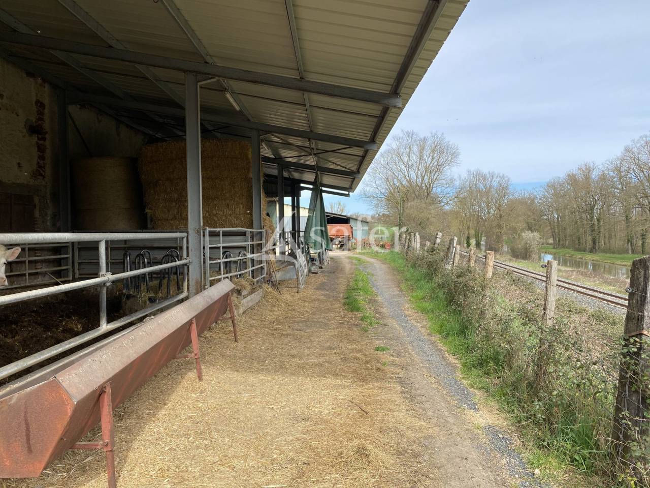 Propriété agricole, élevage (bovins, ovins, équin) - Secteur