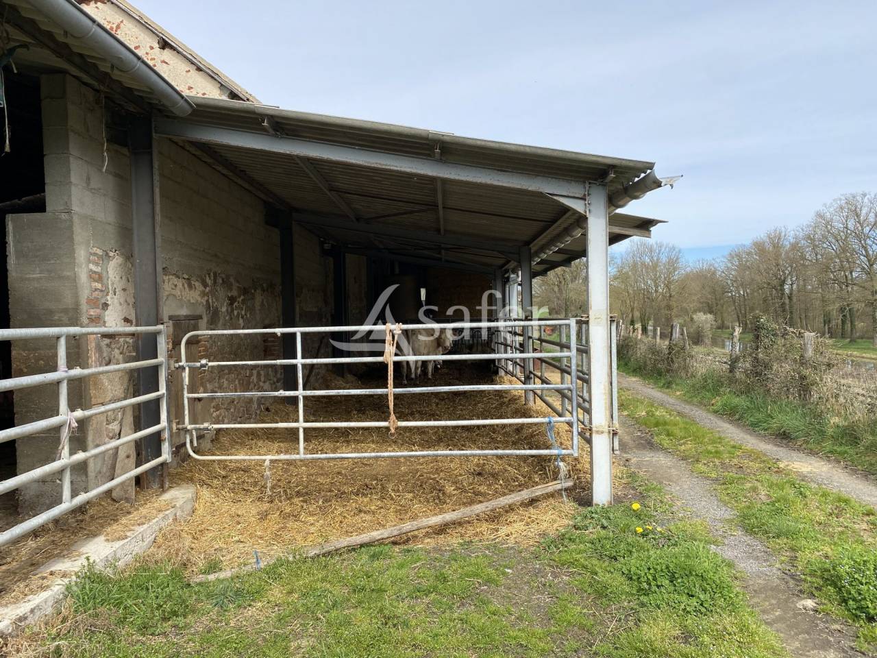 Propriété agricole, élevage (bovins, ovins, équin) - Secteur