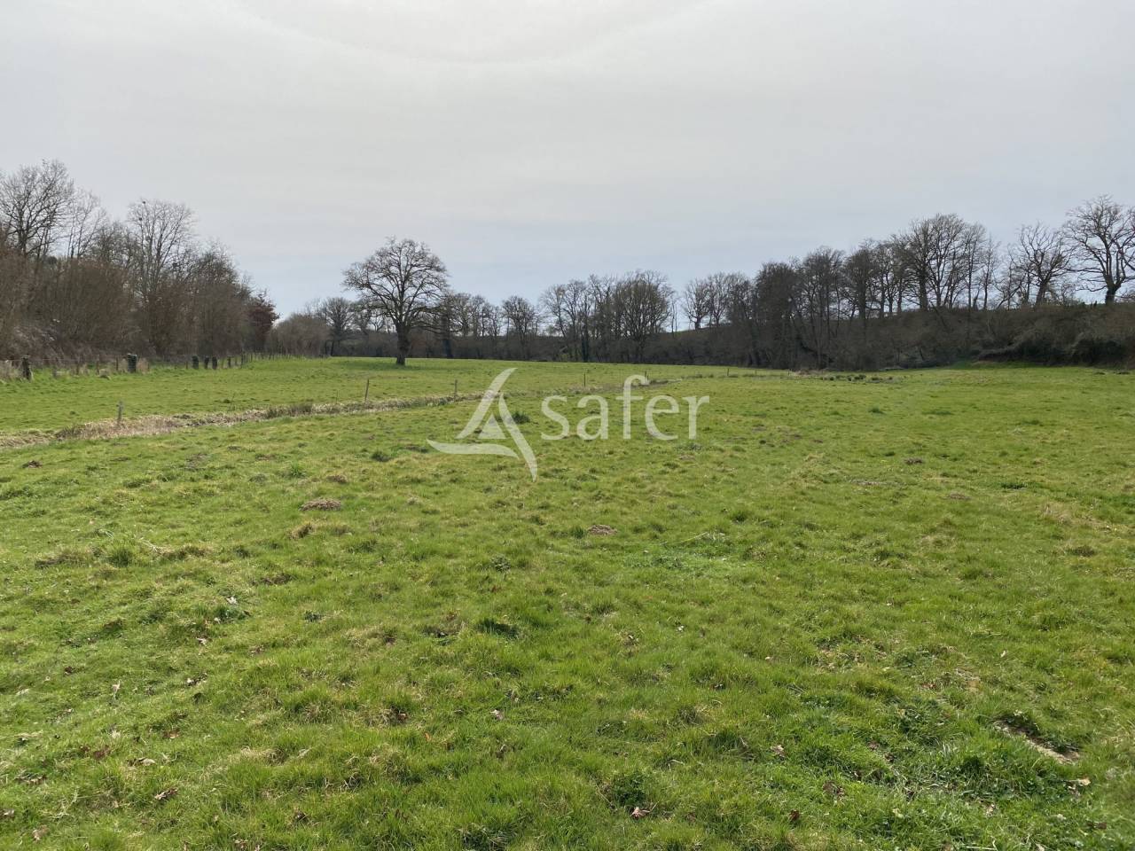 Propriété agricole, élevage (bovins, ovins, équin) - Secteur