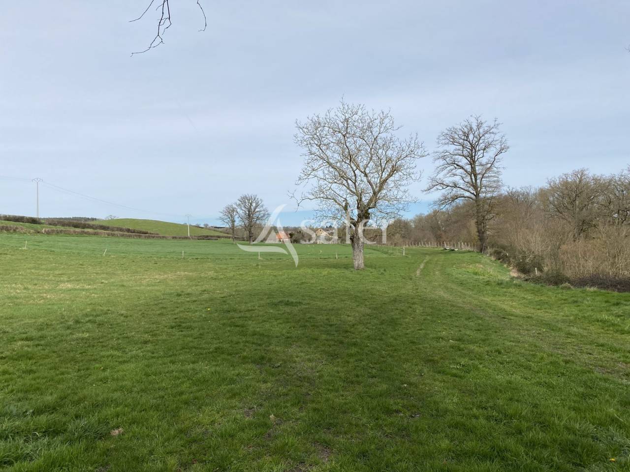 Propriété agricole, élevage (bovins, ovins, équin) - Secteur