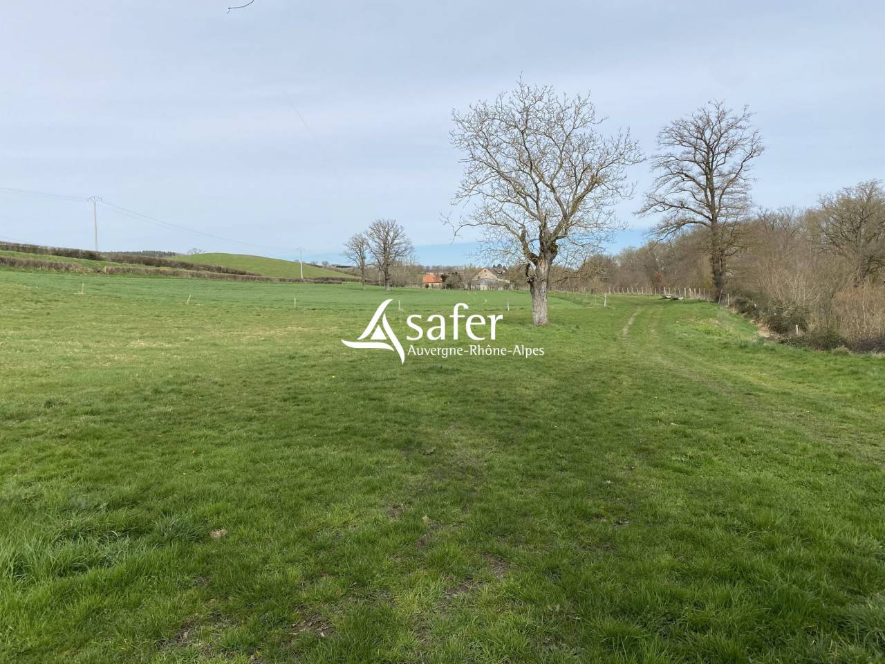 Propri&eacute;t&eacute; agricole, &eacute;levage (bovins, ovins, &eacute;quin) - Secteur