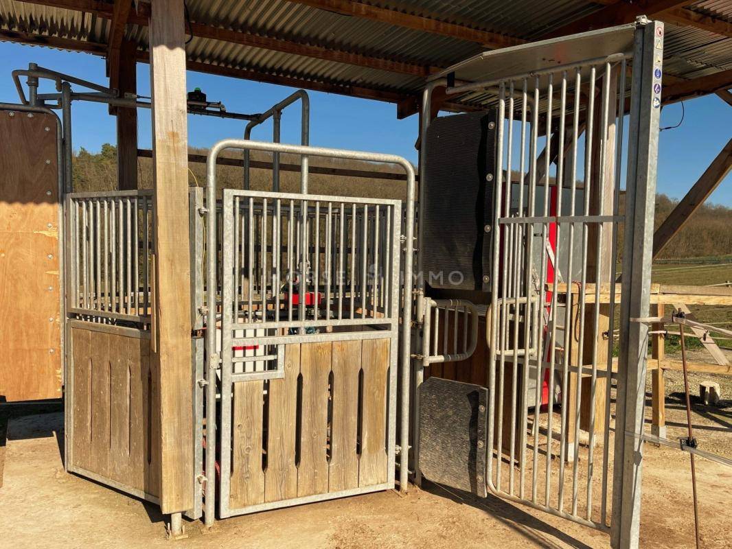 Ecurie Active à 10 kms de Sens, 1 heure de Fontainebleau