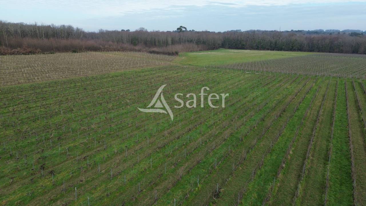 Secteur BLAYAIS - 700 m² de locaux professionnels