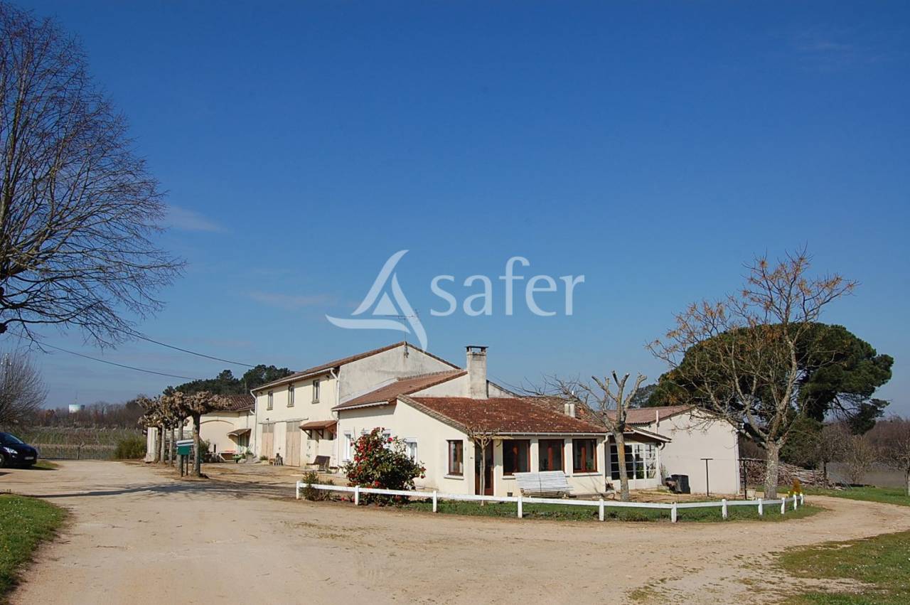 Secteur BLAYAIS - 700 m² de locaux professionnels