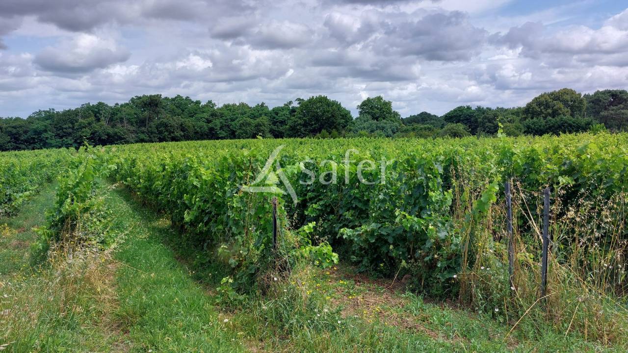 Secteur BLAYAIS - 700 m² de locaux professionnels