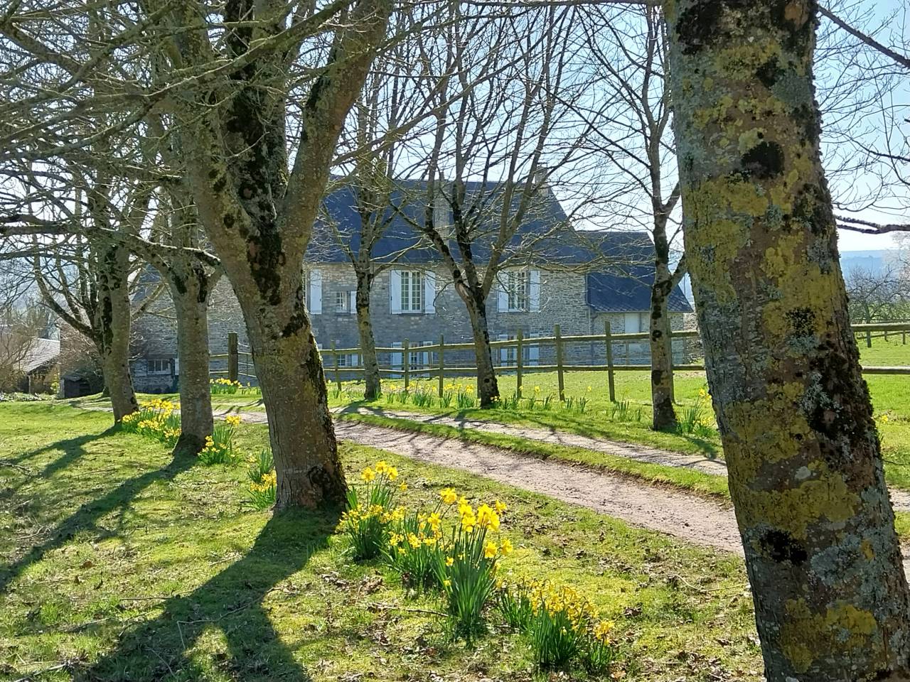 Très jolie maison avec carrière et piscine