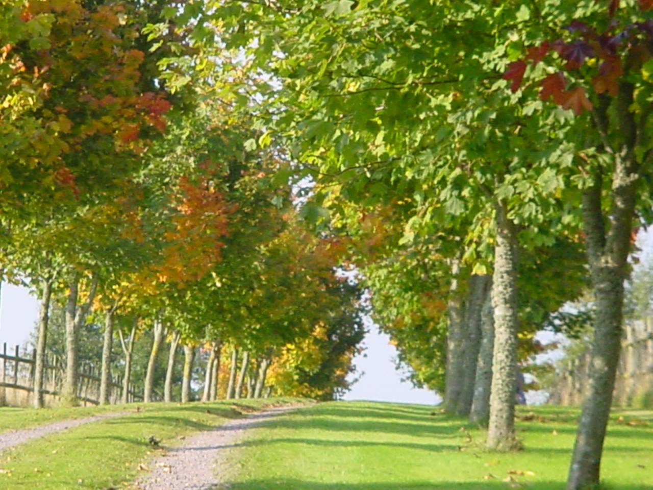 Très jolie maison avec carrière et piscine