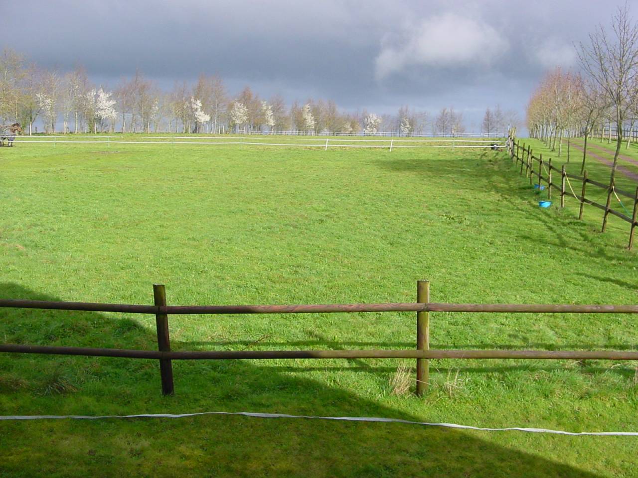 Très jolie maison avec carrière et piscine
