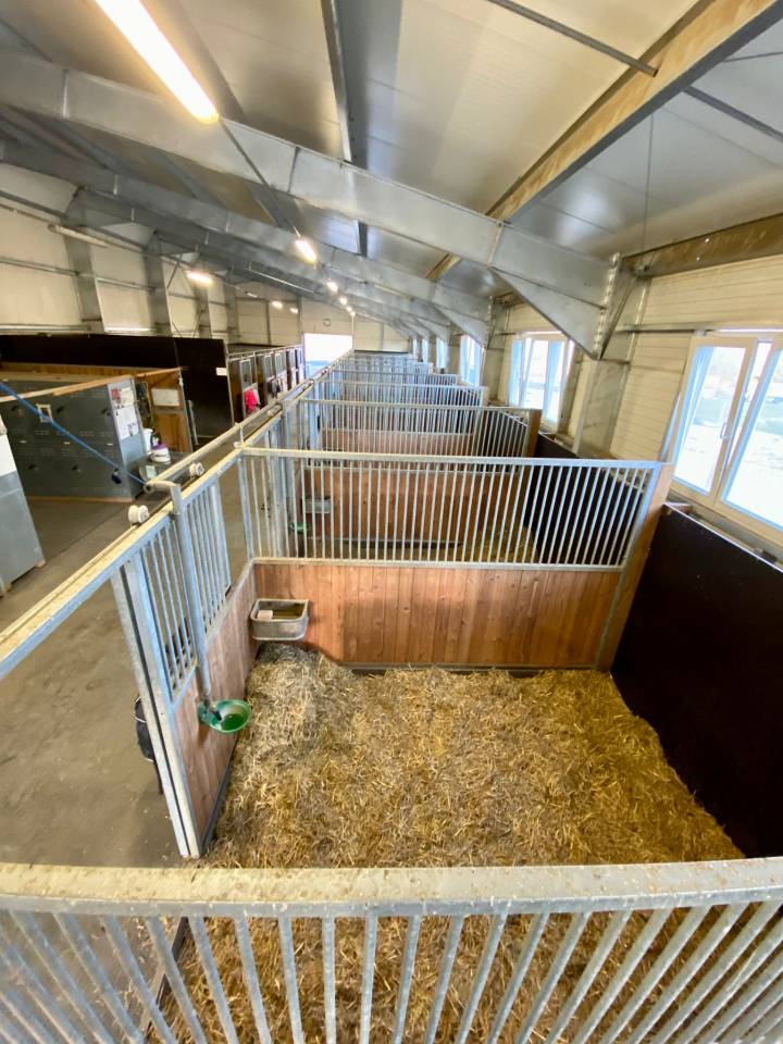 Boxes à louer dans écurie privée 