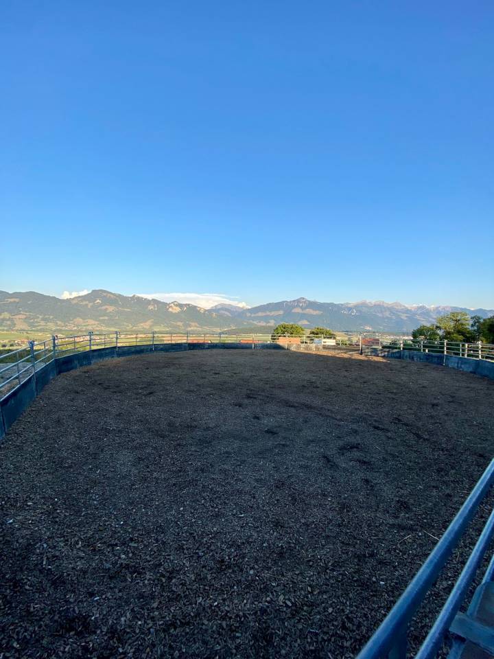 Boxes à louer dans écurie privée 