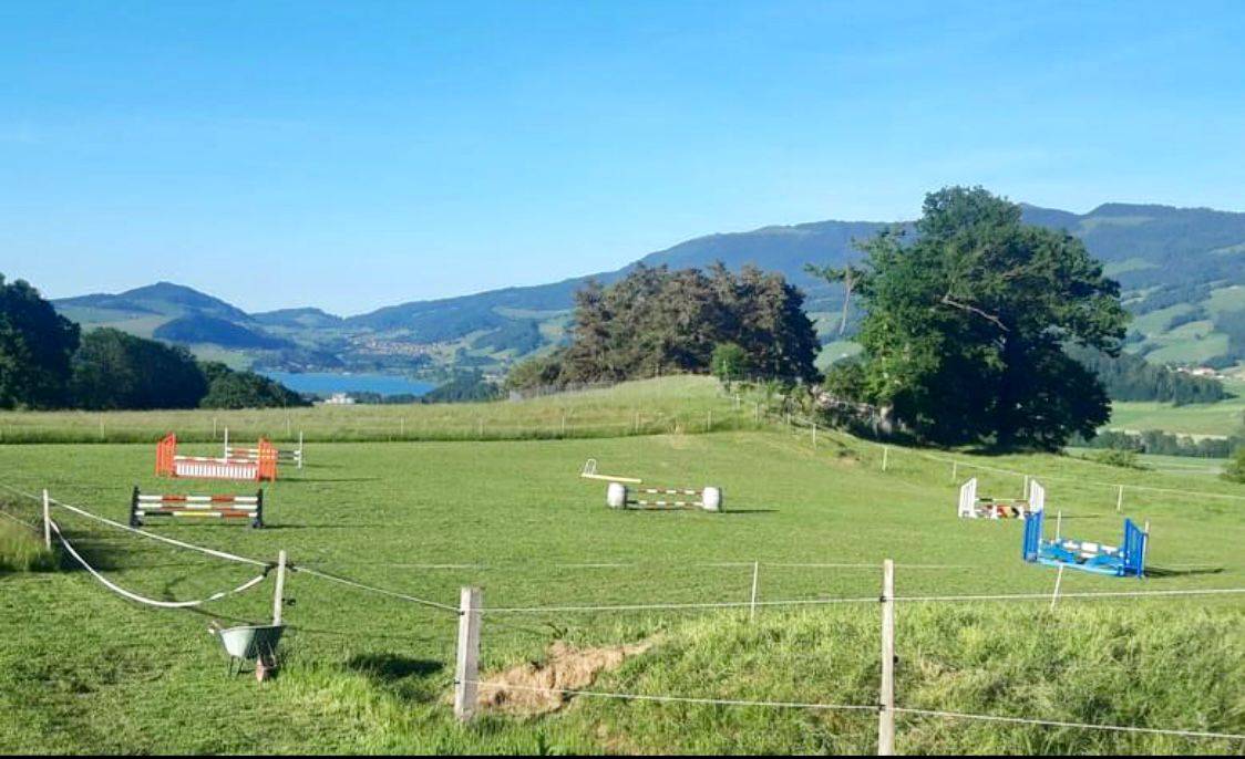 Boxes à louer dans écurie privée 