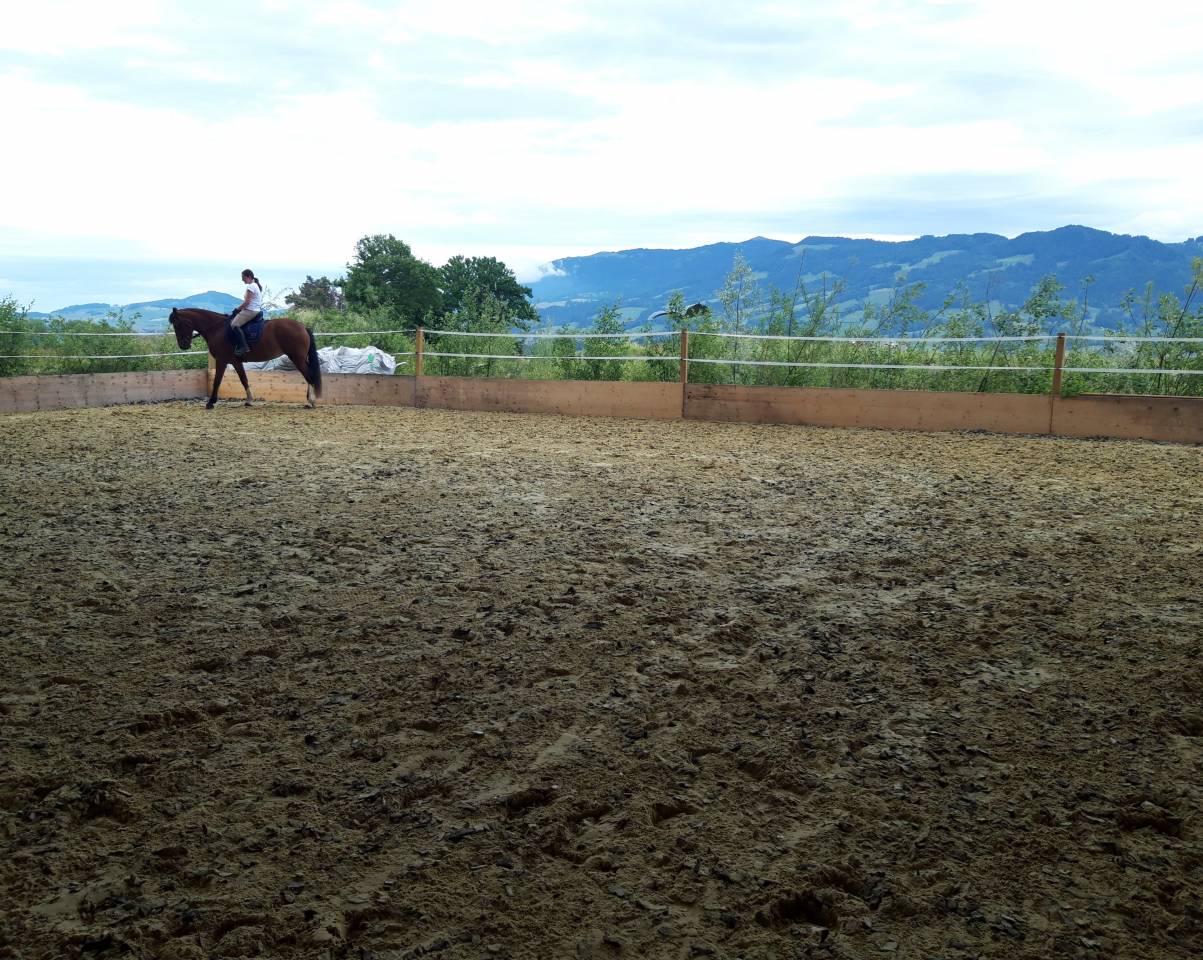 Boxes à louer dans écurie privée 