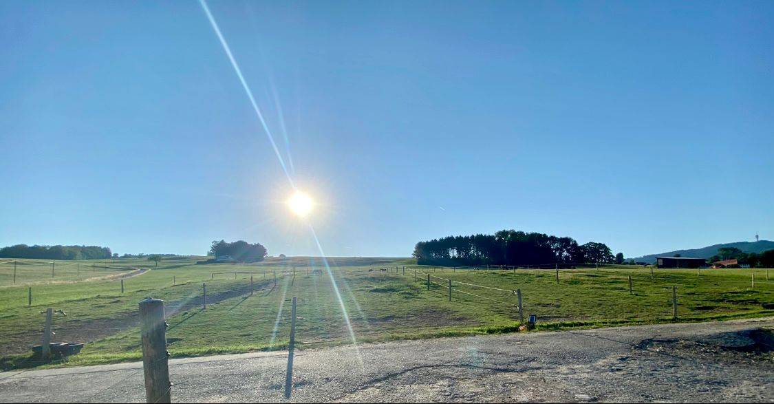 Boxes à louer dans écurie privée 