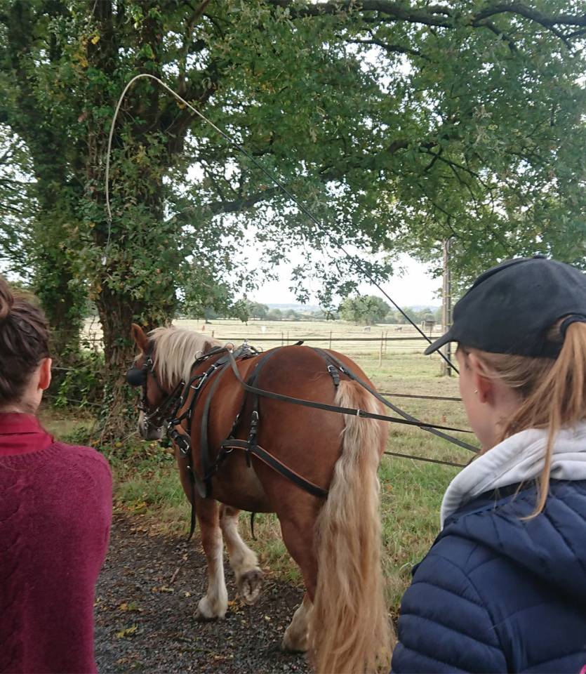 Enfin une formation accessible avec votre CPF !