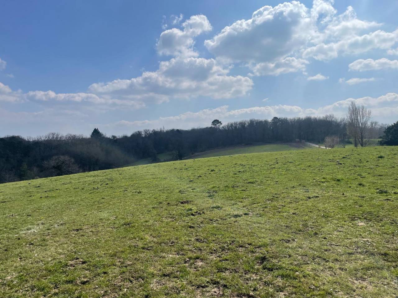 Propriété sur 41 ha idéale chevaux  20 mn de PERIGUEUX