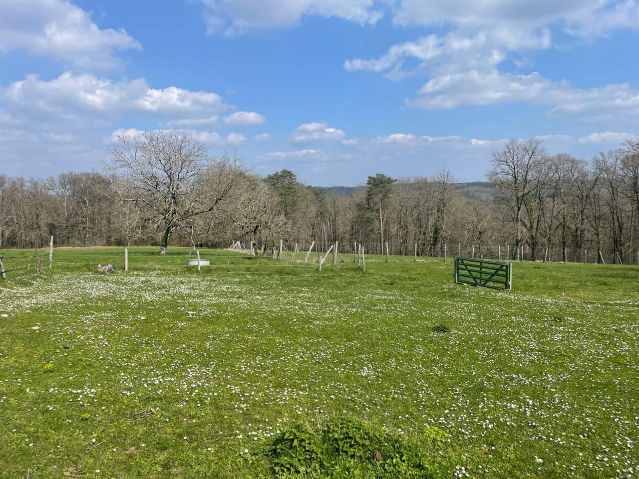 Propriété sur 41 ha idéale chevaux  20 mn de PERIGUEUX