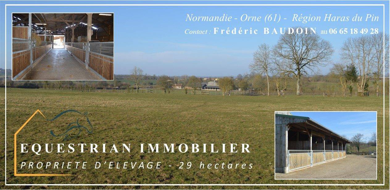 Structure d'élevage chevaux & Propriété agricole - 29 ha