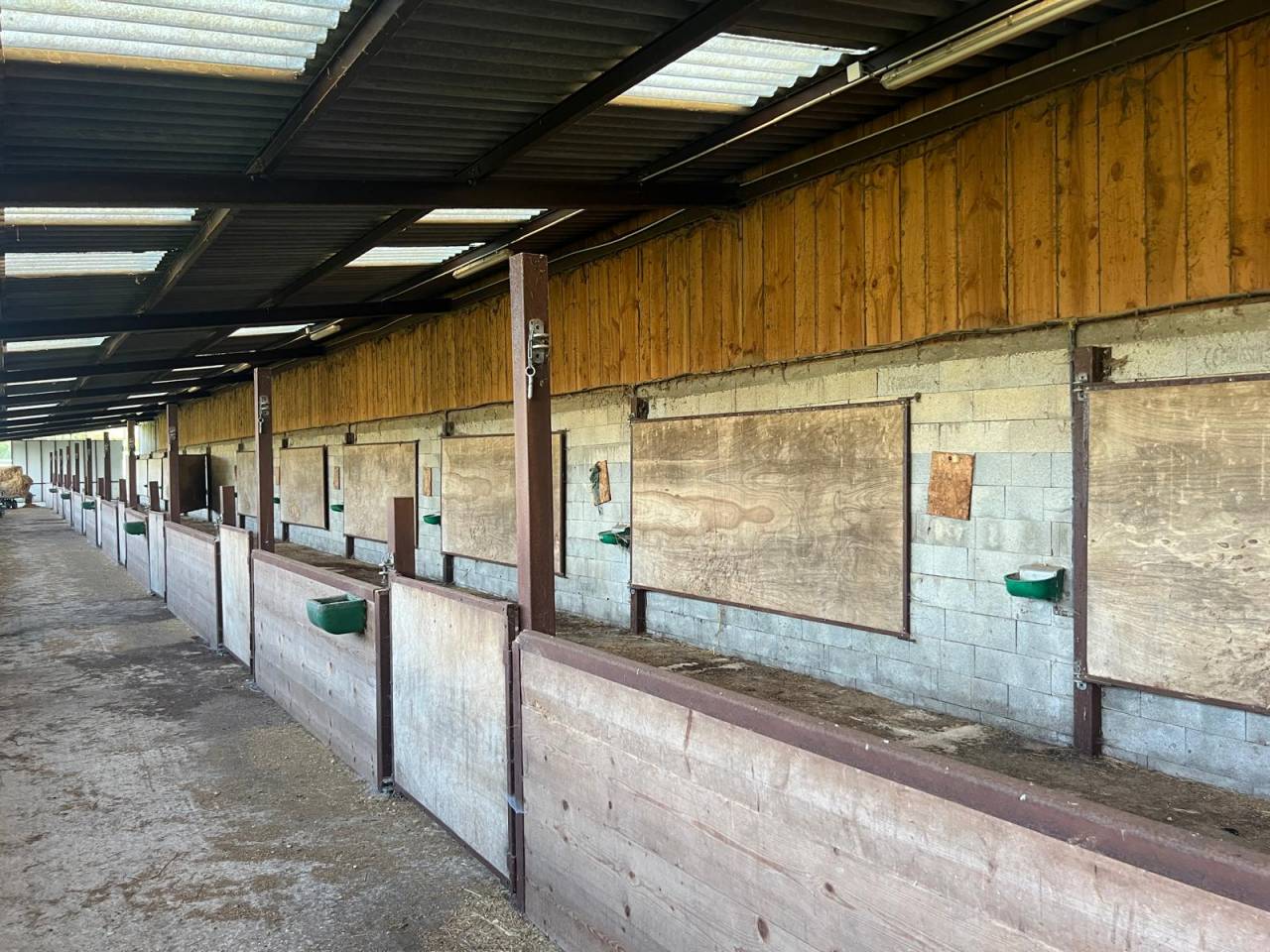 Proche Aubigny sur Nère