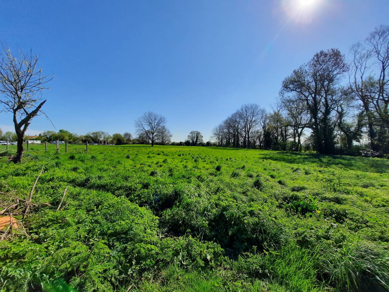 Propriété sur 1,7 ha idéale chevaux 15 mn de LUÇON (85)
