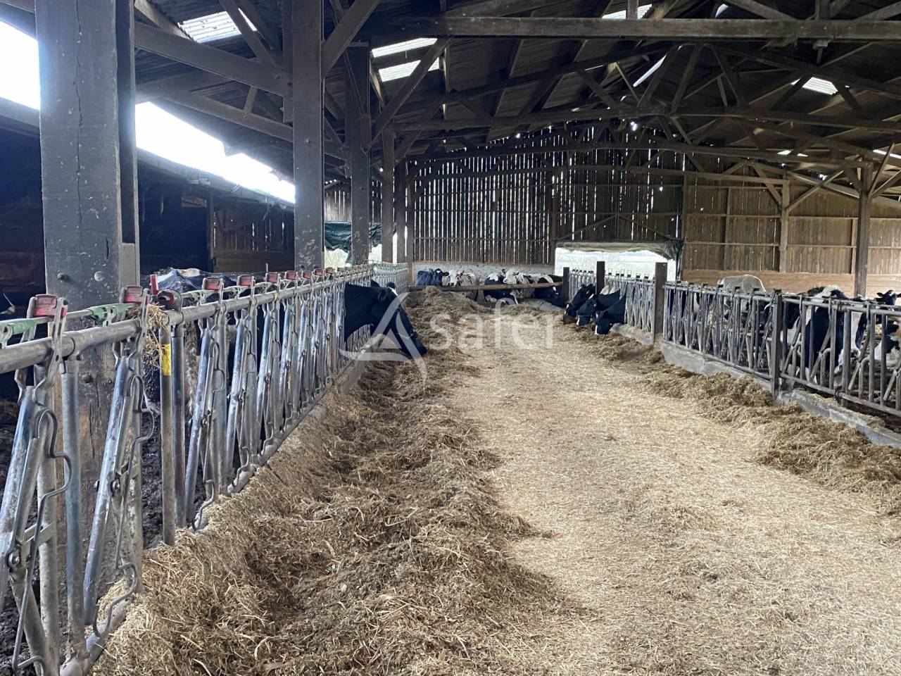 Exploitation agricole idéale pour un projet d'installation av