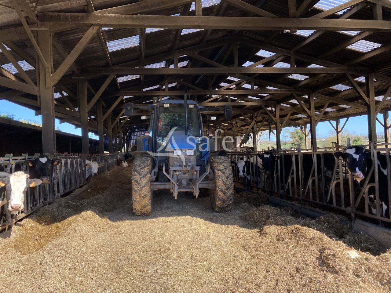 Exploitation agricole idéale pour un projet d'installation av