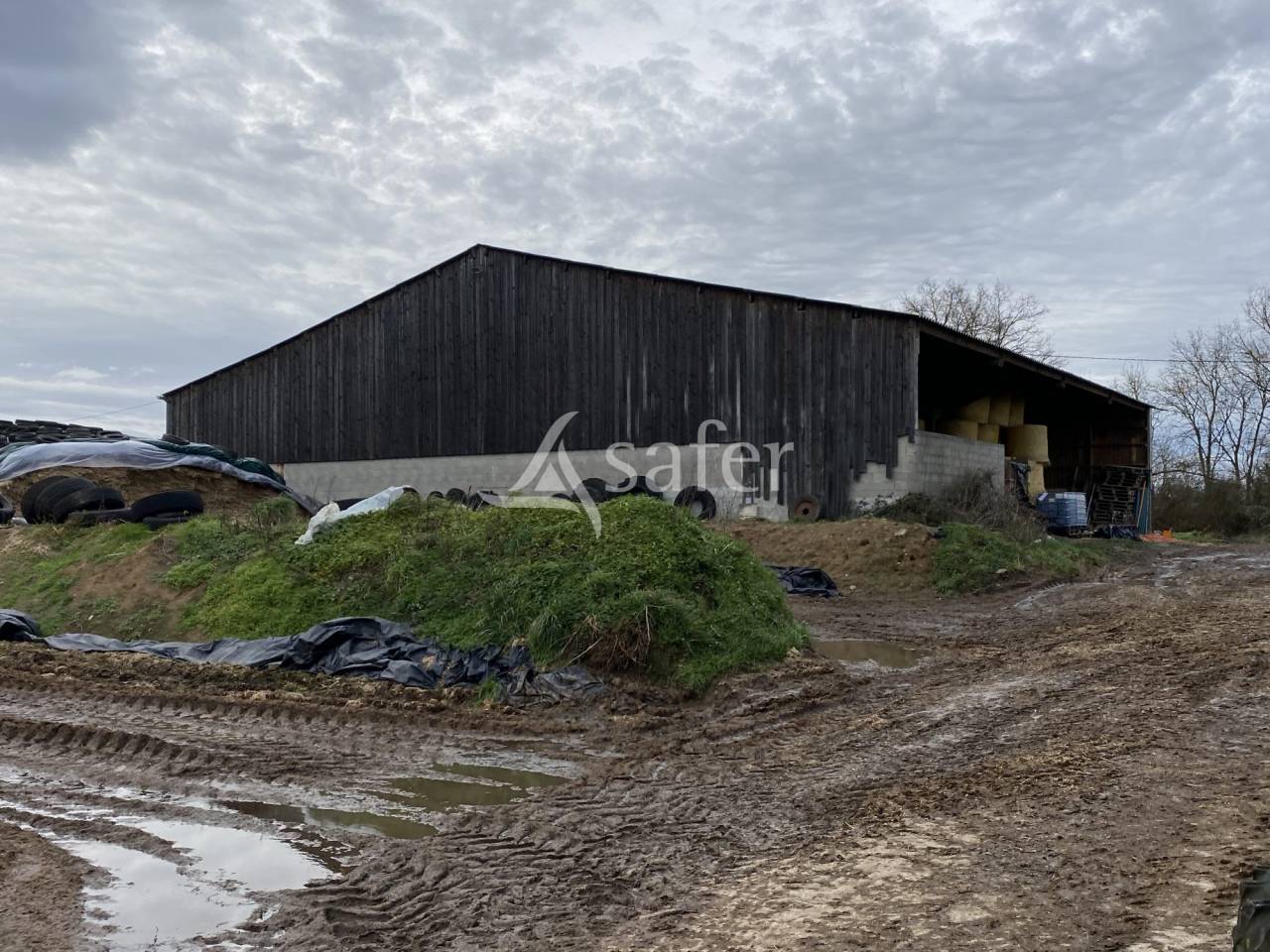 Exploitation agricole idéale pour un projet d'installation av