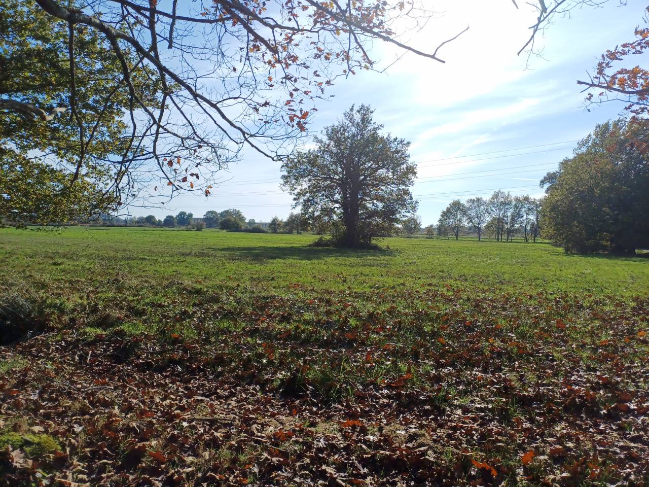 Propriété sur 31 ha idéale chevaux 10 mn MONTPON-M.(24)