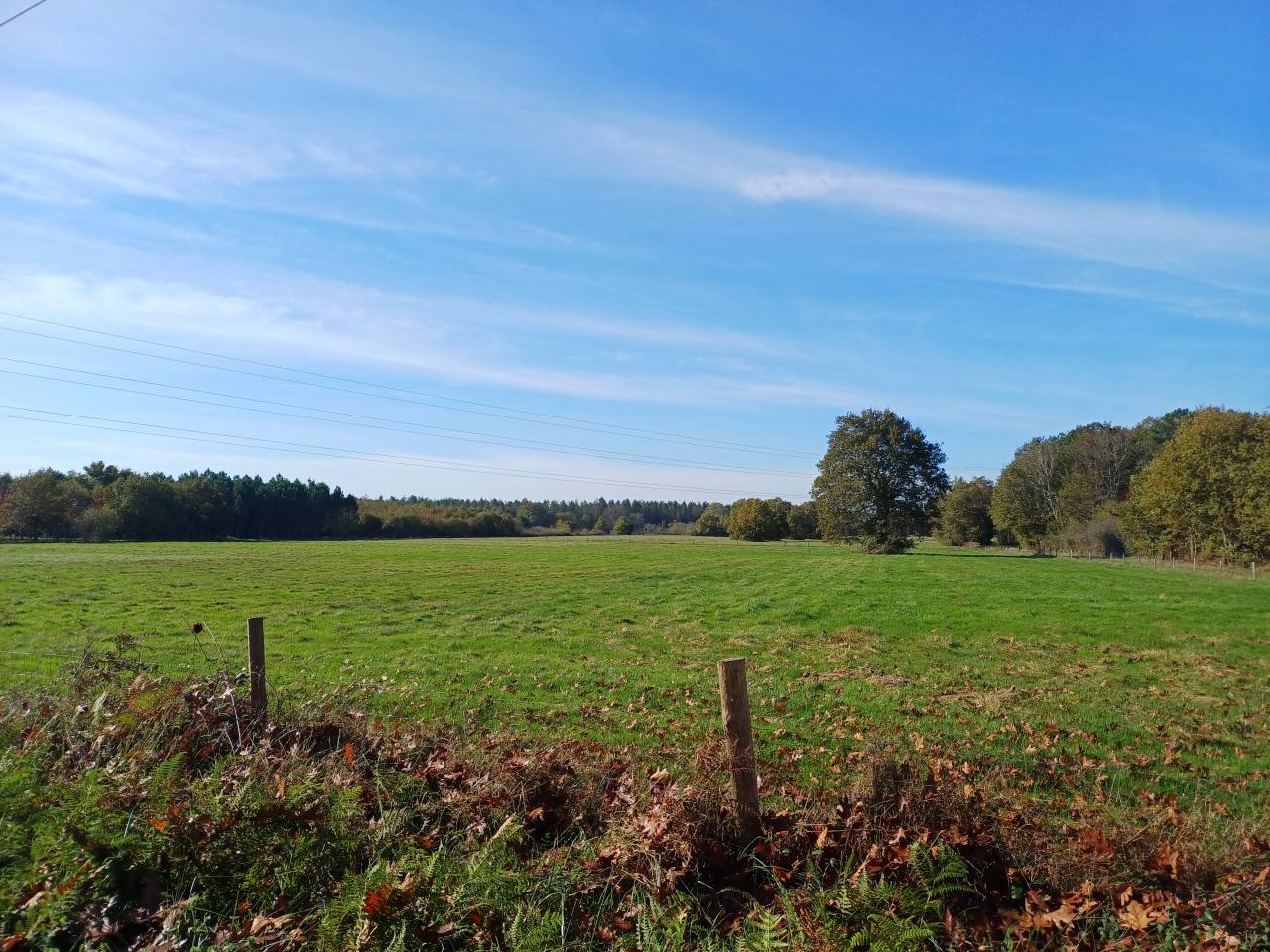 Propriété sur 31 ha idéale chevaux 10 mn MONTPON-M.(24)