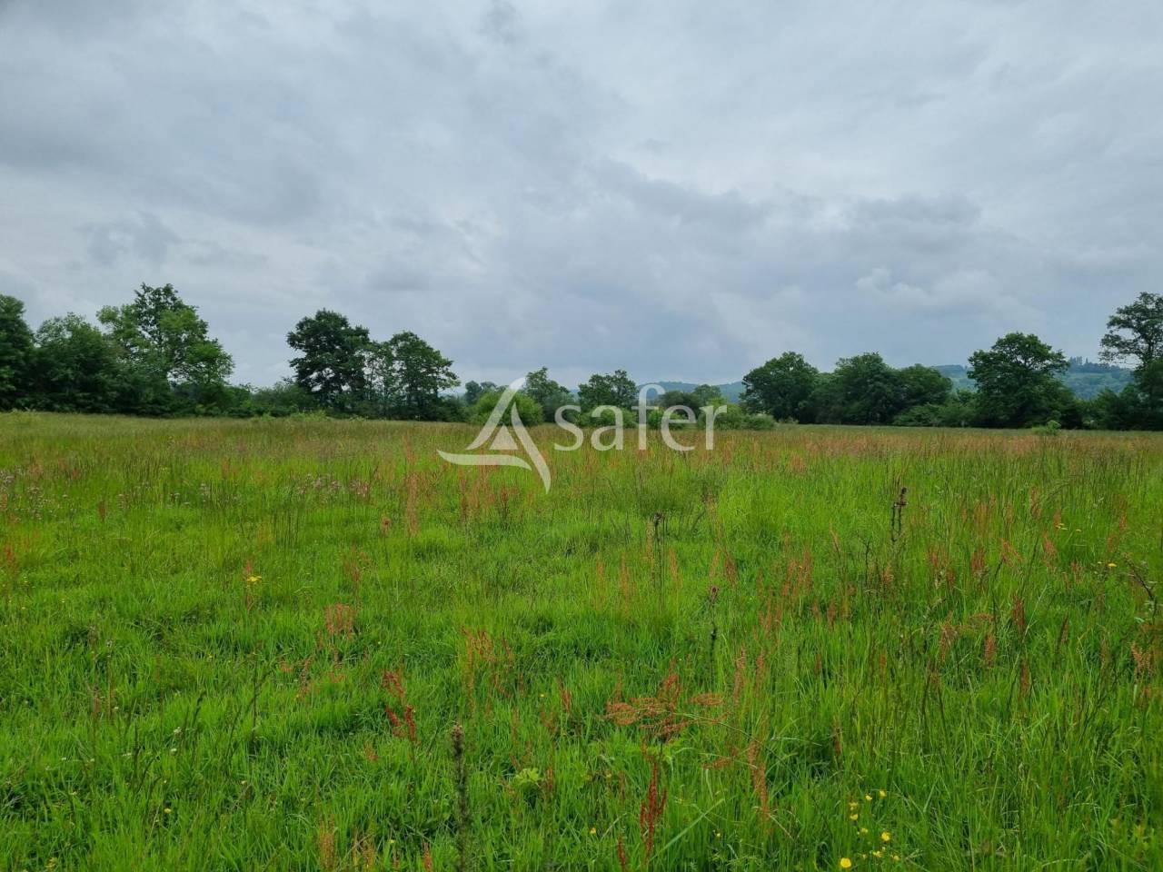 Corps de ferme fin XVIII siècle sur près de 12 ha d'un seul te