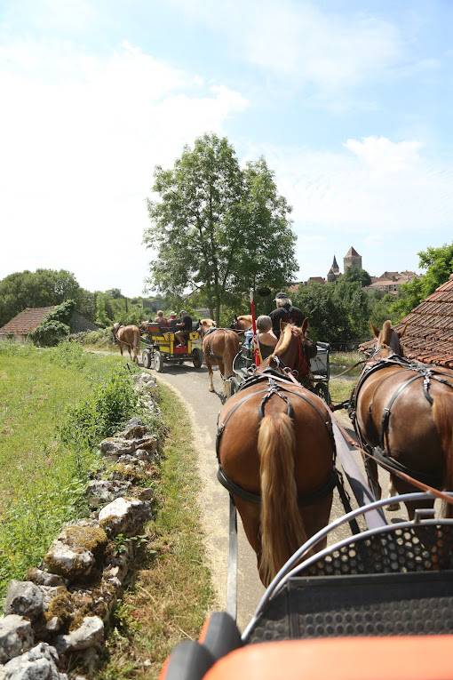 Randonnée à cheval et en attelage en Occitanie 