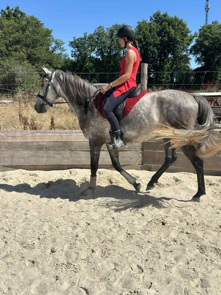 Pre x allemand (Sandro hit) 