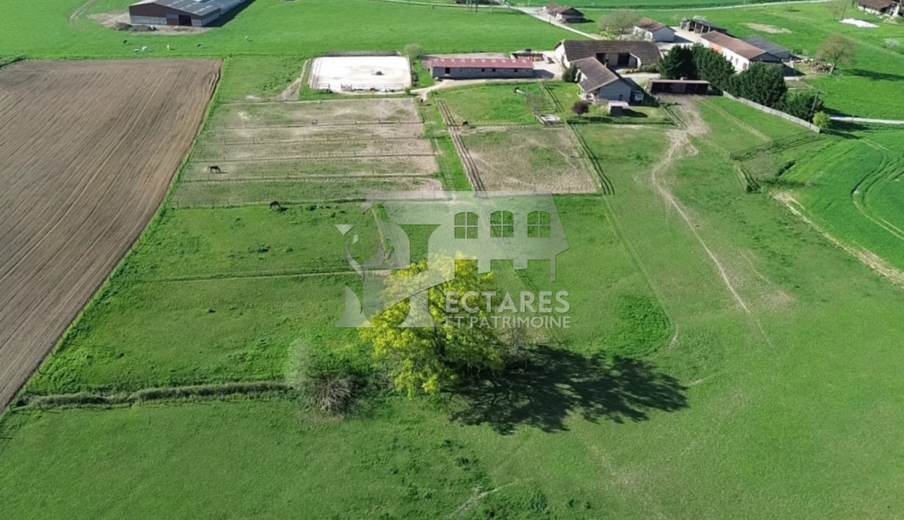 Habitation et écurie sur 4,1 hectares
