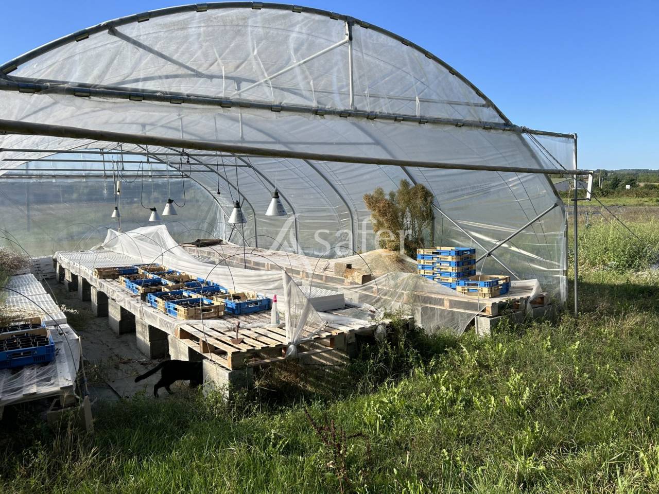 Charmante propriété agricole BIO sur 8ha de terres irrigables