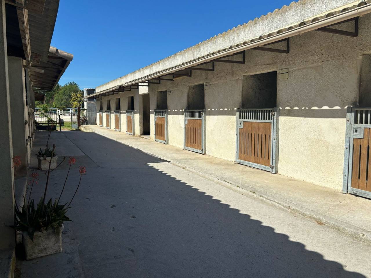 Hérault . Propriété équestre de standing