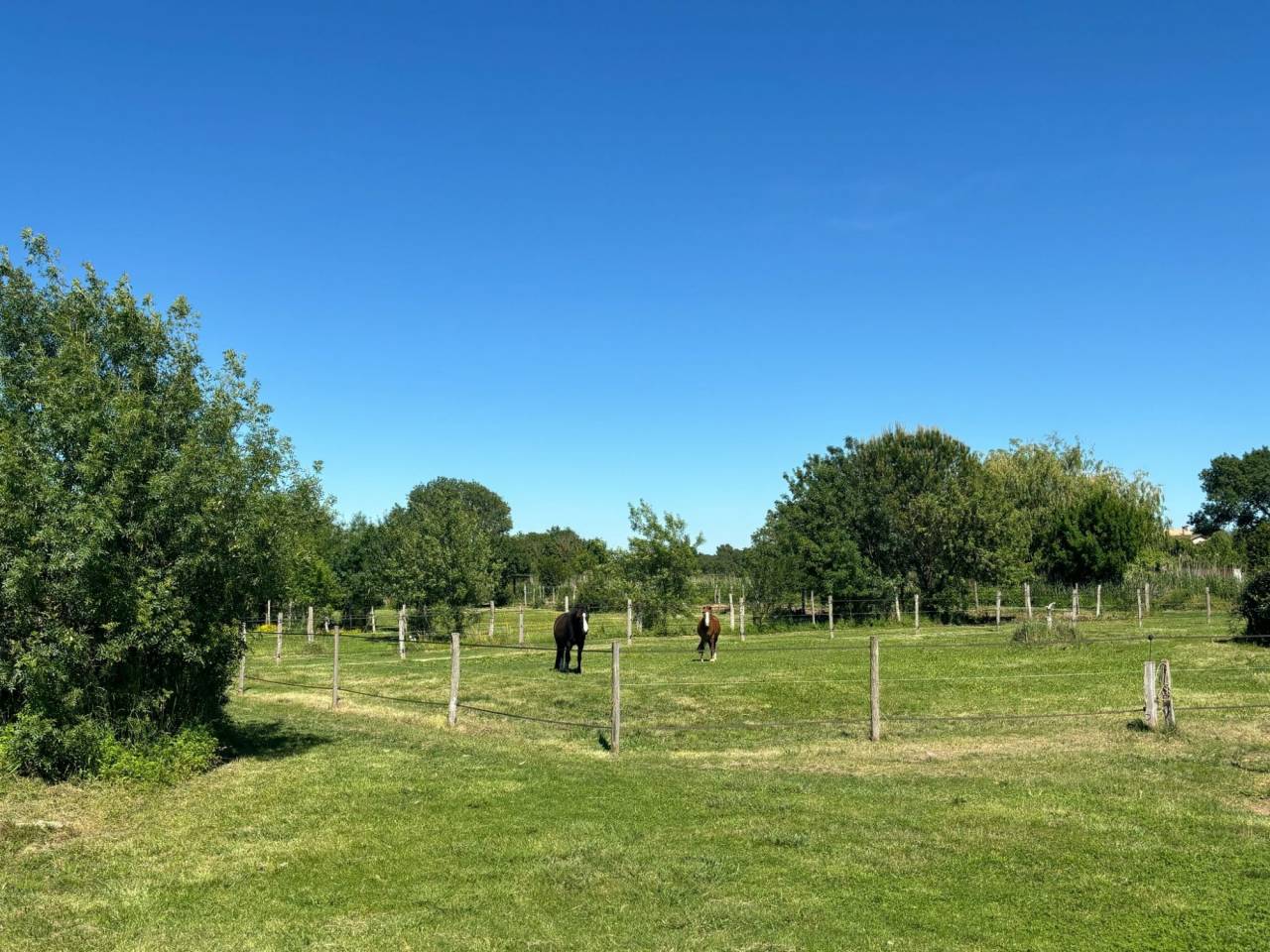 Hérault . Propriété équestre de standing