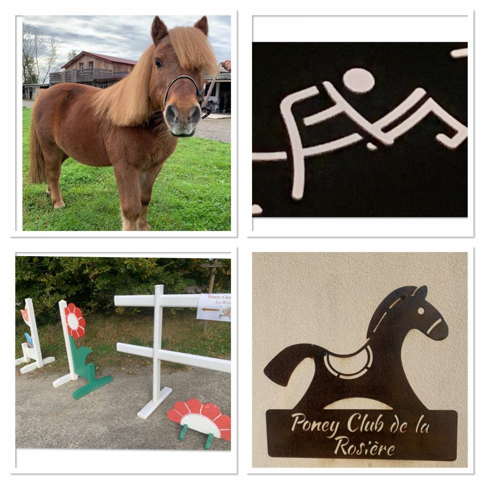 Cours poney club, stages poneys, 