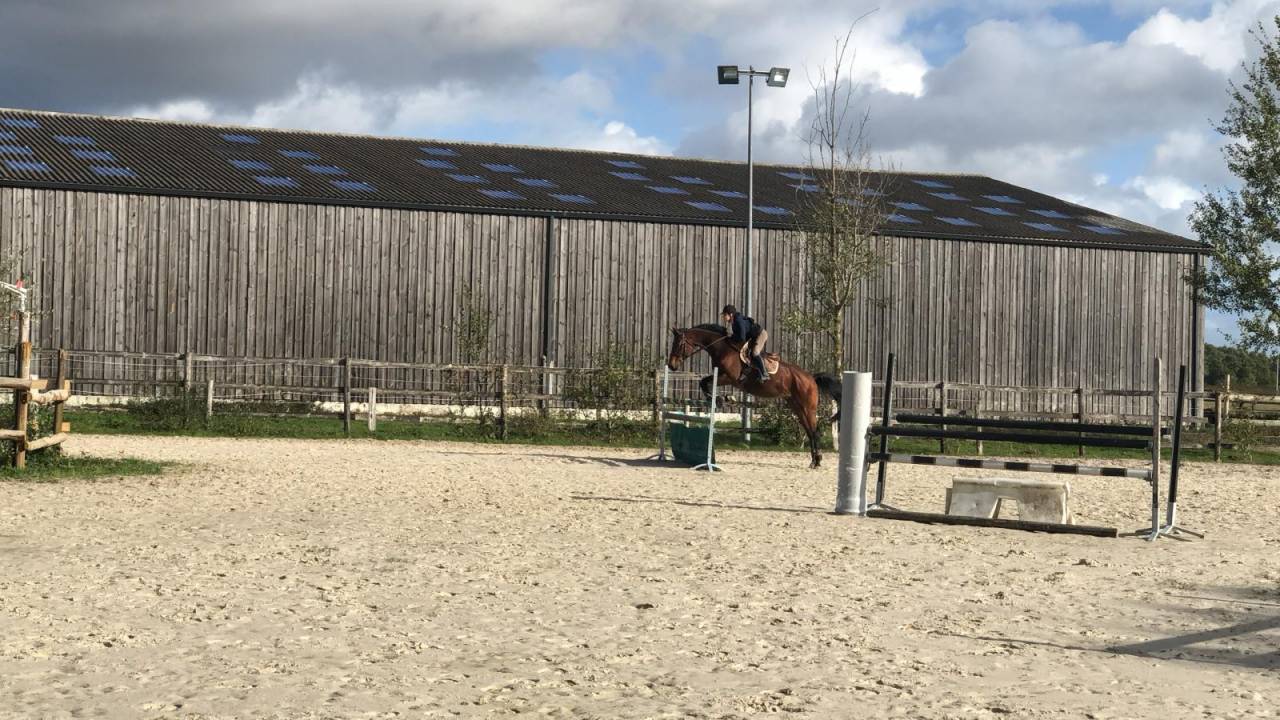 Propriété équestre - Ecurie de propriétaires  