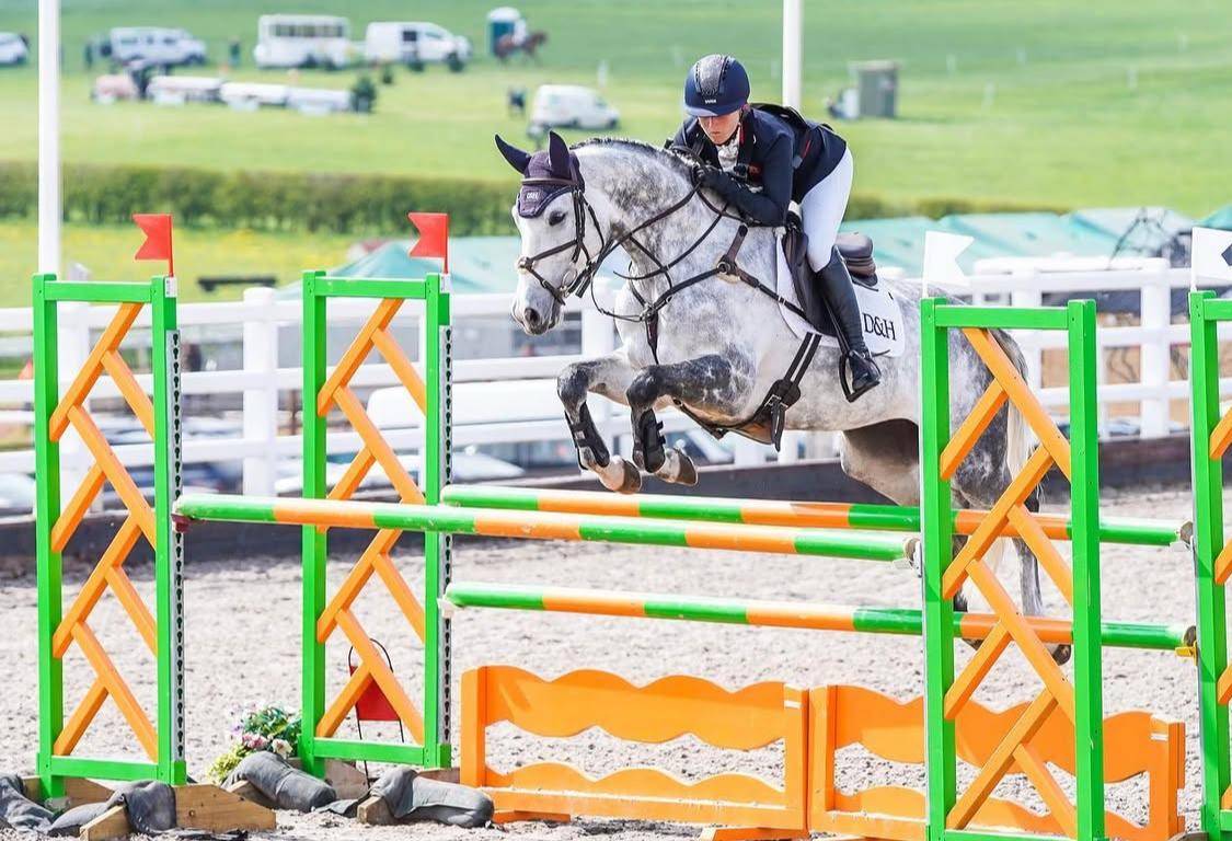 Jument Selle Français A vendre 2015 Gris